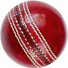 Leather Cricket Duse ball