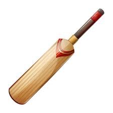 Cricket Bat Wooden